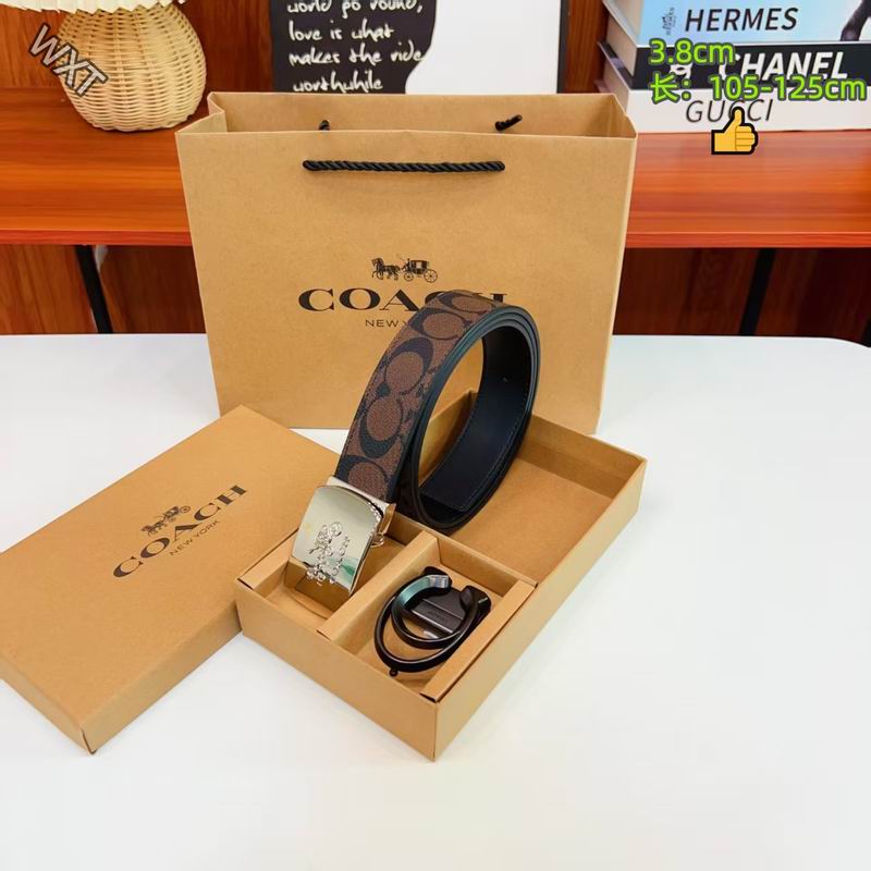 Coach belt 38mmX105-125cm 8L23